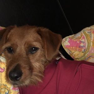 Meet your Posher, Krysta